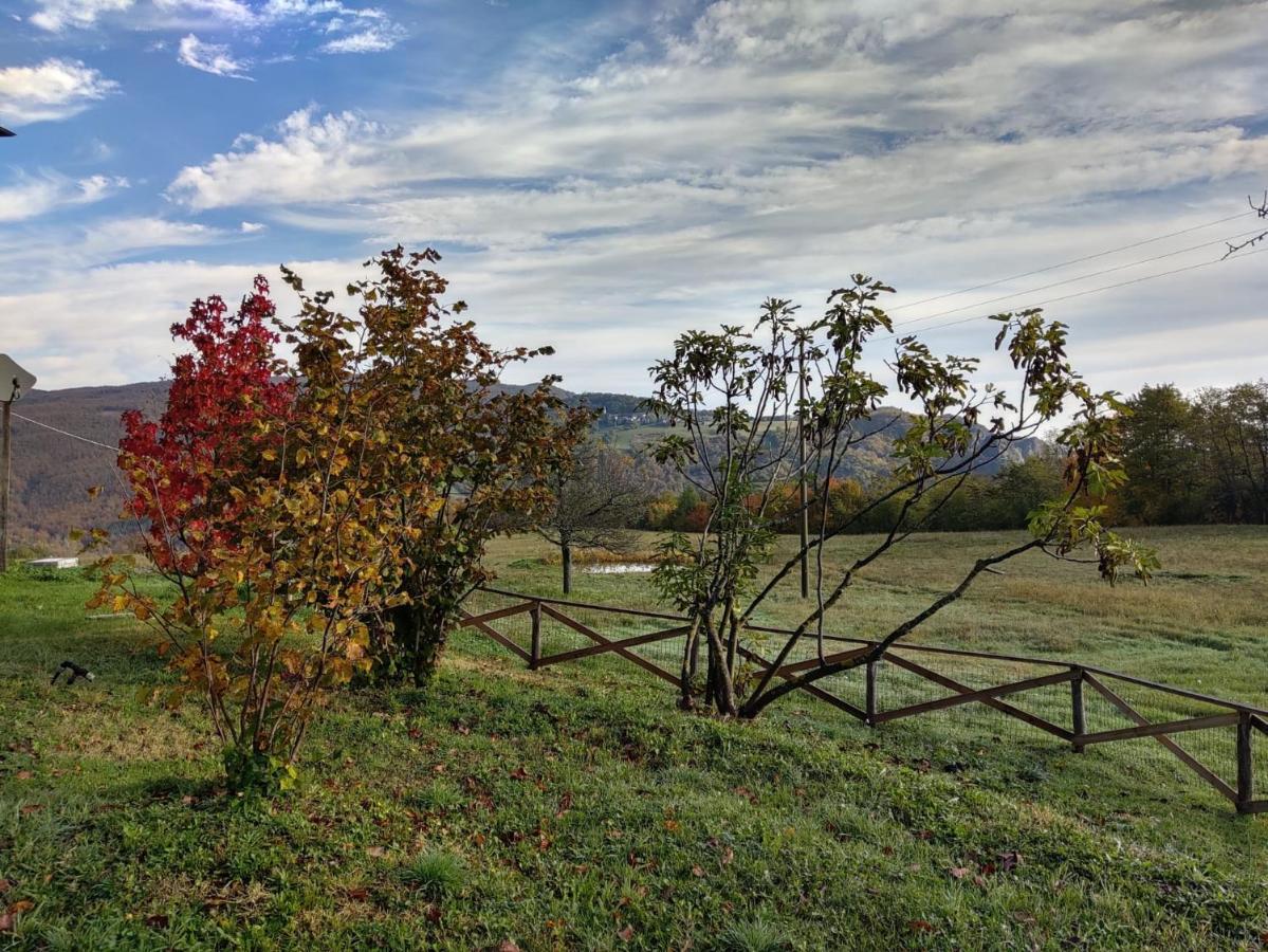 "Borgo Gerbina" Agriturismo & Azienda Agricola Sozzi Buitenkant foto