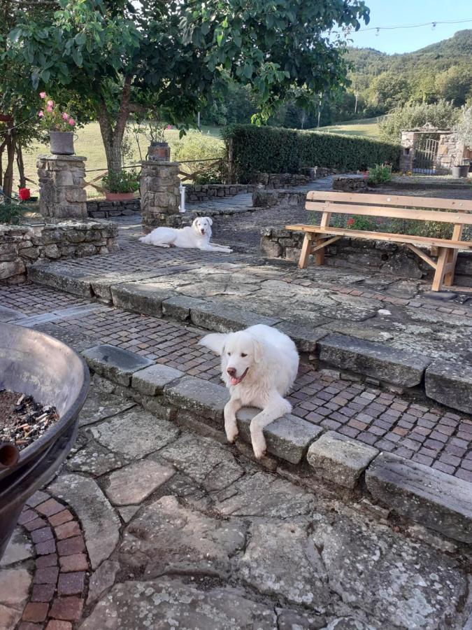 "Borgo Gerbina" Agriturismo & Azienda Agricola Sozzi Buitenkant foto